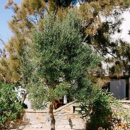 Blue Zircon Villa Stelida (Naxos)