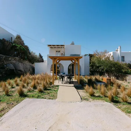 Blue Zircon 斯泰里达