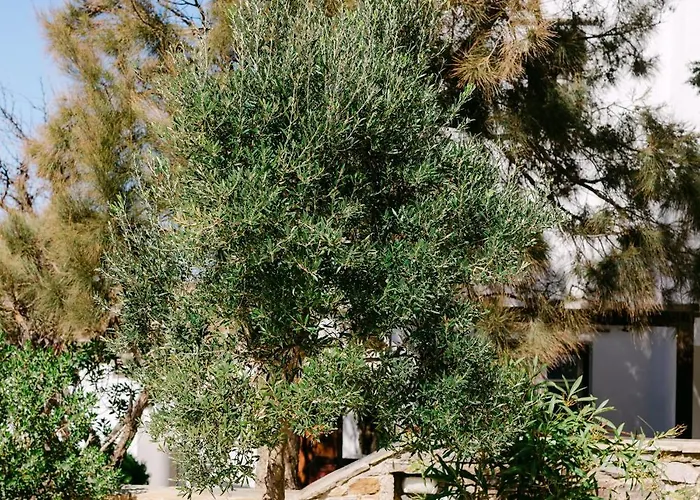 Blue Zircon Villa Stelida (Naxos)